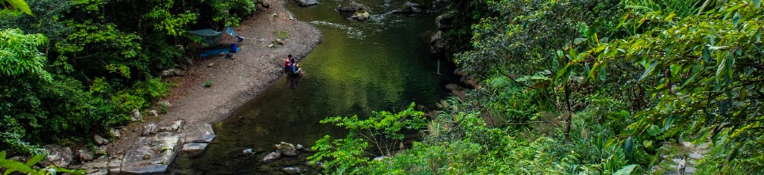 魚蕨生態溪遊記
