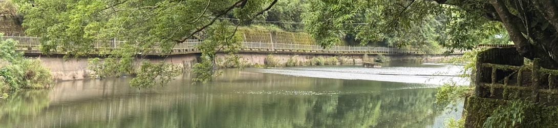 親水觀魚漫步趣